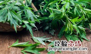 艾草放门口驱蚊子吗 艾草挂门口能驱蚊子吗