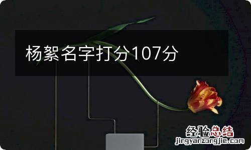 杨絮名字打分107分