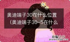 奥迪端子30-5在什么位置 奥迪端子30在什么位置