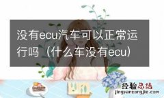 什么车没有ecu 没有ecu汽车可以正常运行吗