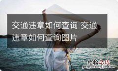 交通违章如何查询 交通违章如何查询图片