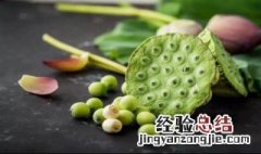 新鲜莲子怎么吃比较好 新鲜莲子怎么吃比较好?新鲜莲子的正确吃法