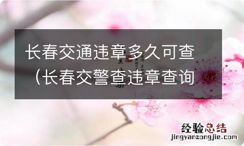 长春交警查违章查询 长春交通违章多久可查