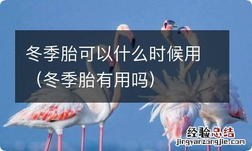 冬季胎有用吗 冬季胎可以什么时候用