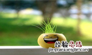 浇水长草娃娃怎么养 长草娃娃怎么养