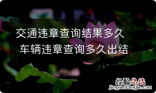 交通违章查询结果多久 车辆违章查询多久出结果