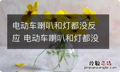 电动车喇叭和灯都没反应 电动车喇叭和灯都没反应但是可以骑