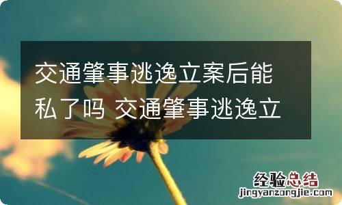 交通肇事逃逸立案后能私了吗 交通肇事逃逸立案了还能私了吗