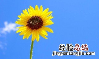 霸气的英文名字 霸气的英文名字有哪些