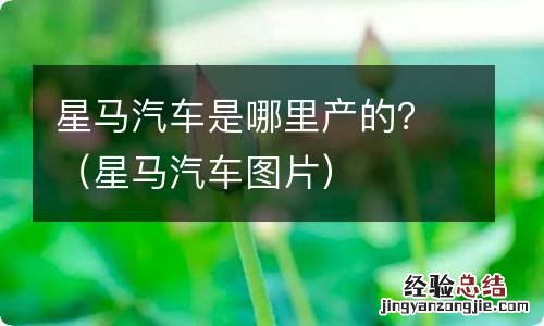 星马汽车图片 星马汽车是哪里产的？