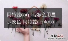 阿特兹carplay怎么用显示灰色 阿特兹applecarplay灰色