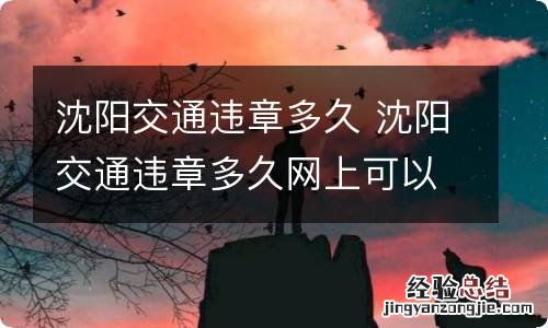 沈阳交通违章多久 沈阳交通违章多久网上可以查询