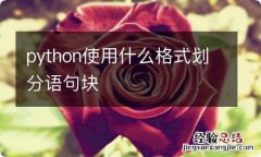 python使用什么格式划分语句块