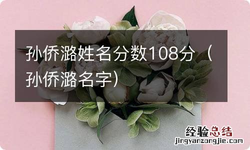 孙侨潞名字 孙侨潞姓名分数108分