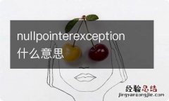 nullpointerexception什么意思