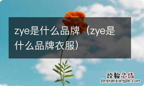 zye是什么品牌衣服 zye是什么品牌