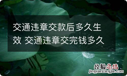 交通违章交款后多久生效 交通违章交完钱多久处理完