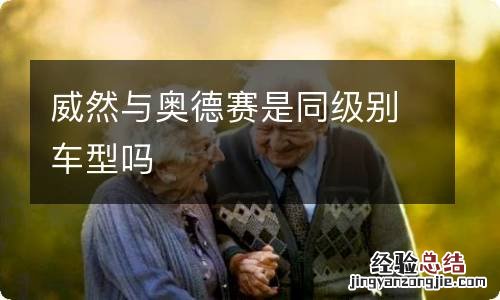 威然与奥德赛是同级别车型吗