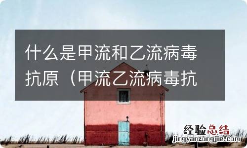 甲流乙流病毒抗原检测 什么是甲流和乙流病毒抗原