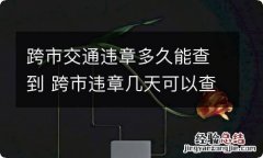 跨市交通违章多久能查到 跨市违章几天可以查到