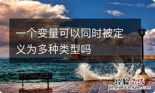 一个变量可以同时被定义为多种类型吗