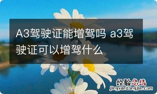 A3驾驶证能增驾吗 a3驾驶证可以增驾什么