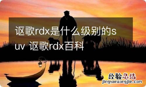 讴歌rdx是什么级别的suv 讴歌rdx百科