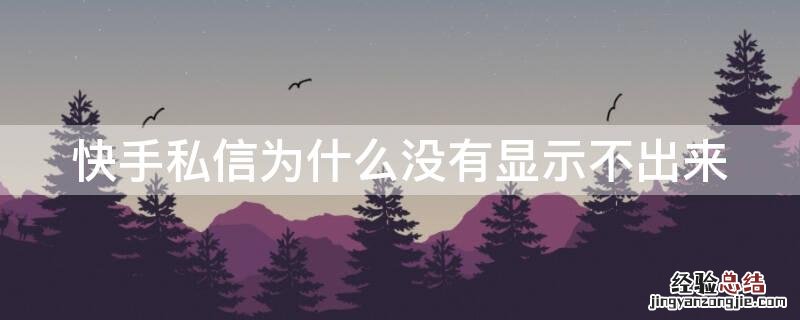 快手私信为什么没有显示不出来