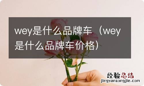 wey是什么品牌车价格 wey是什么品牌车