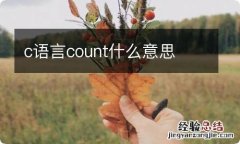 c语言count什么意思