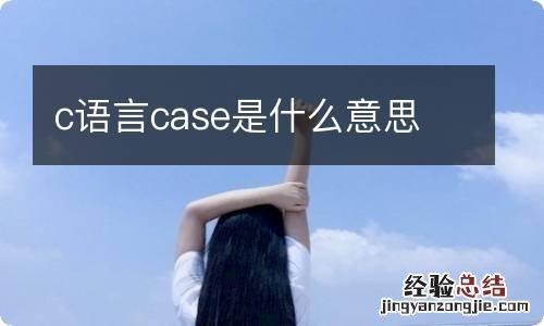 c语言case是什么意思