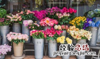 什么花的花语是孤独 什么花的花语是孤独内向的
