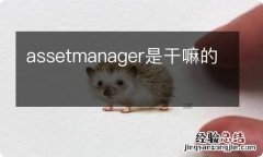 assetmanager是干嘛的