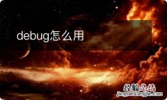 debug怎么用