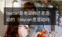 taycan是混动吗? taycan是电动的还是混动的