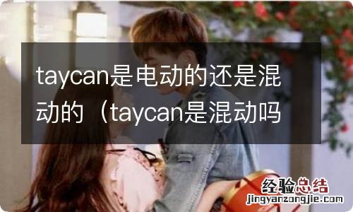 taycan是混动吗? taycan是电动的还是混动的