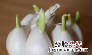 怎样防止大蒜发芽简单的方法 怎样防止大蒜发芽简单的方法图片