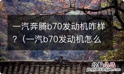 一汽b70发动机怎么样 一汽奔腾b70发动机咋样?