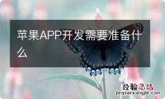 苹果APP开发需要准备什么