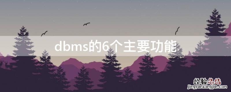 dbms四大功能 dbms的6个主要功能