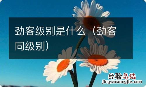 劲客同级别 劲客级别是什么