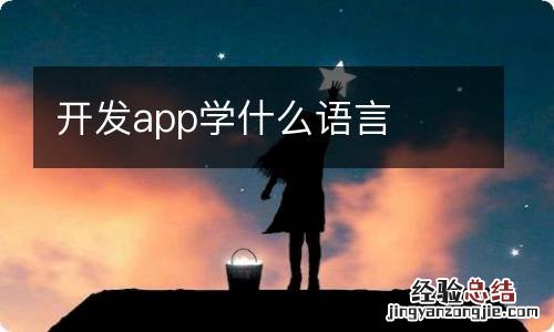 开发app学什么语言