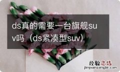 ds紧凑型suv ds真的需要一台旗舰suv吗