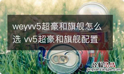 weyvv5超豪和旗舰怎么选 vv5超豪和旗舰配置区别