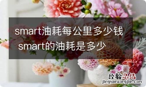 smart油耗每公里多少钱 smart的油耗是多少