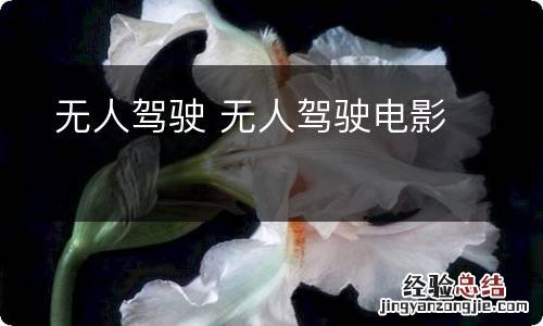 无人驾驶 无人驾驶电影