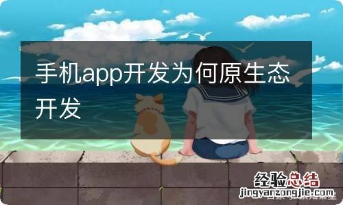 手机app开发为何原生态开发