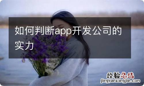 如何判断app开发公司的实力