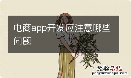 电商app开发应注意哪些问题