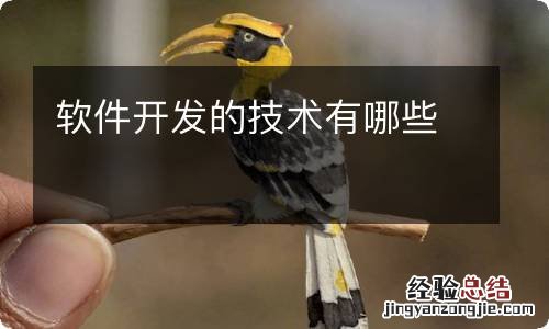 软件开发的技术有哪些
